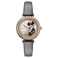 Ingersoll1892 ID00302 The Disney Ingersoll Union Aufnahme von Vorne